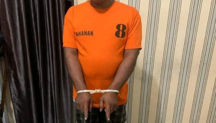Tak Jera! Budaya Sitepu Ditangkap Lagi Edarkan Sabu dari Gubuk Ladang